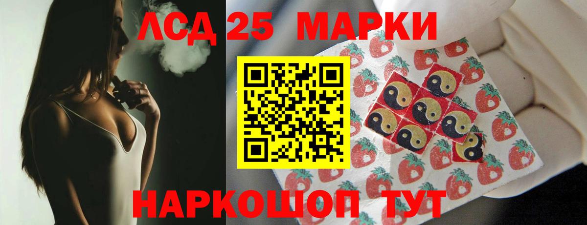 A PVP Лесной