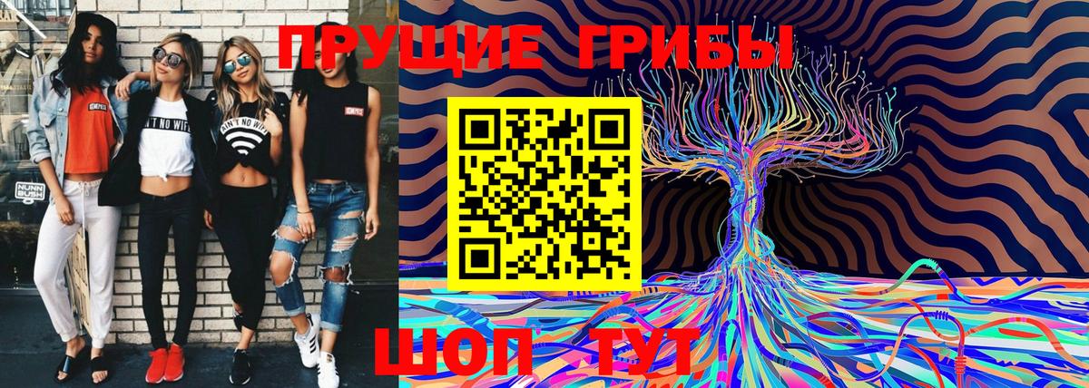 Галлюциногенные грибы MAGIC MUSHROOMS Лесной