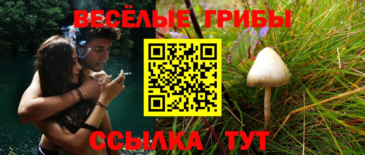 Псилоцибиновые грибы ЛСД  Псилоцибиновые грибы Magic Shrooms  Вход с VPN  Лесной 