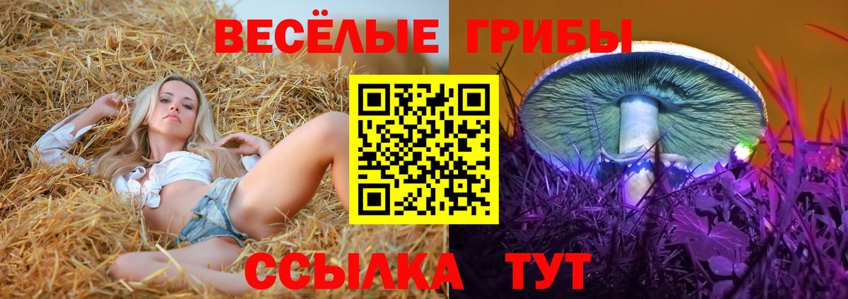 Гашиш  Лесной  Cocaine  APVP СК   Cocaine  Мефедрон   Вход с VPN 